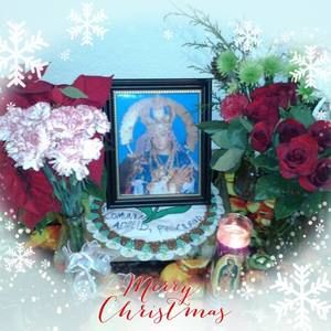 Meet your Posher, Fredy